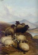 unknow artist Sheep 192 oil painting on canvas